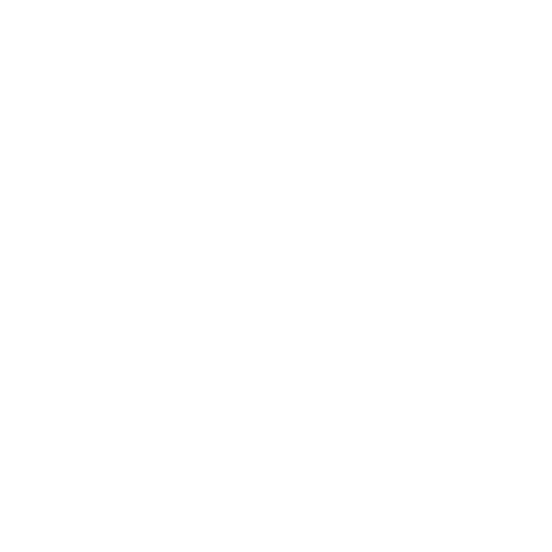 BRIGMAG